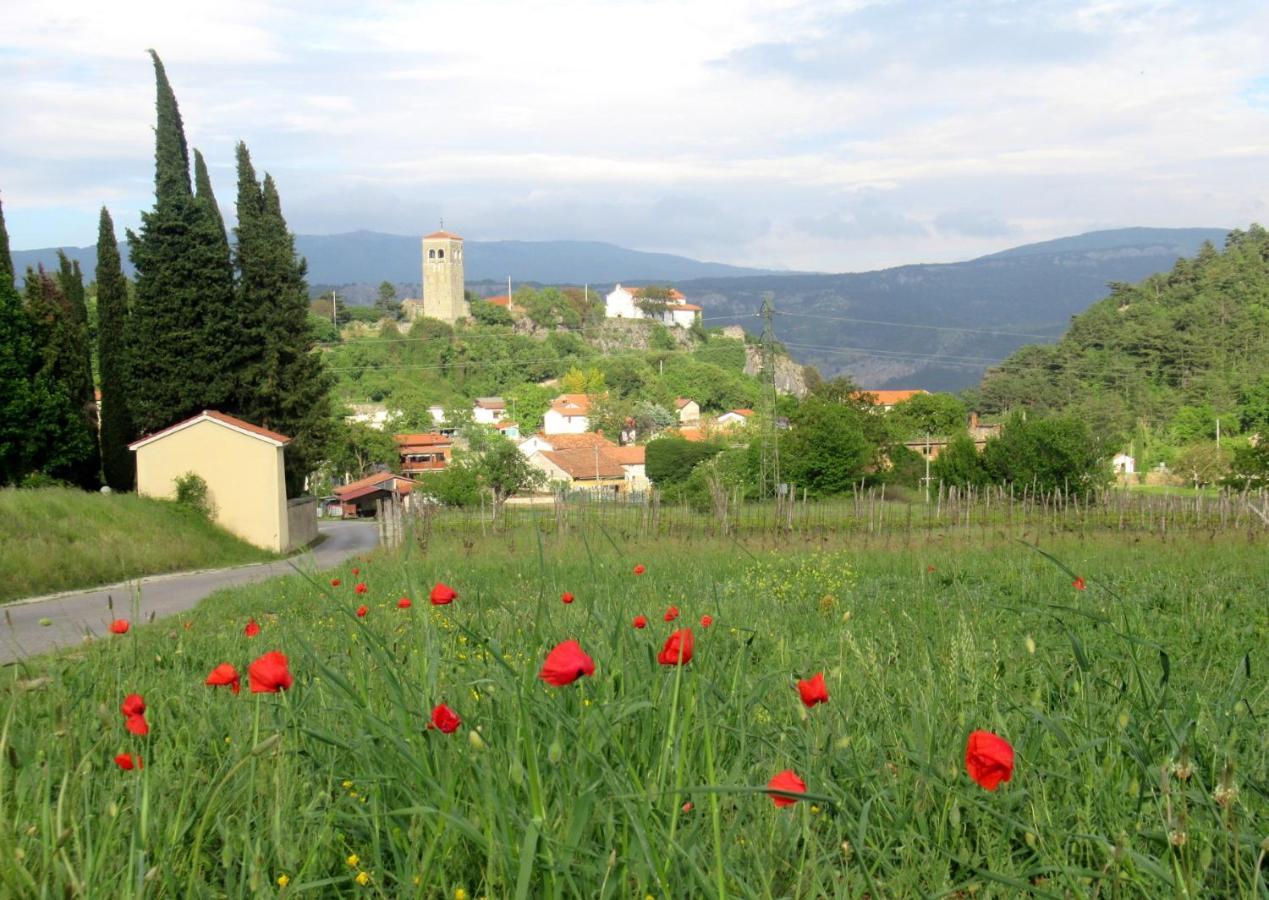 Appartamento Apartma Qbed Gračišče Esterno foto